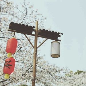 美女大🐻300%裸体
