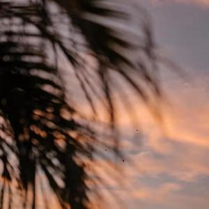 美女大🐻300%裸体
